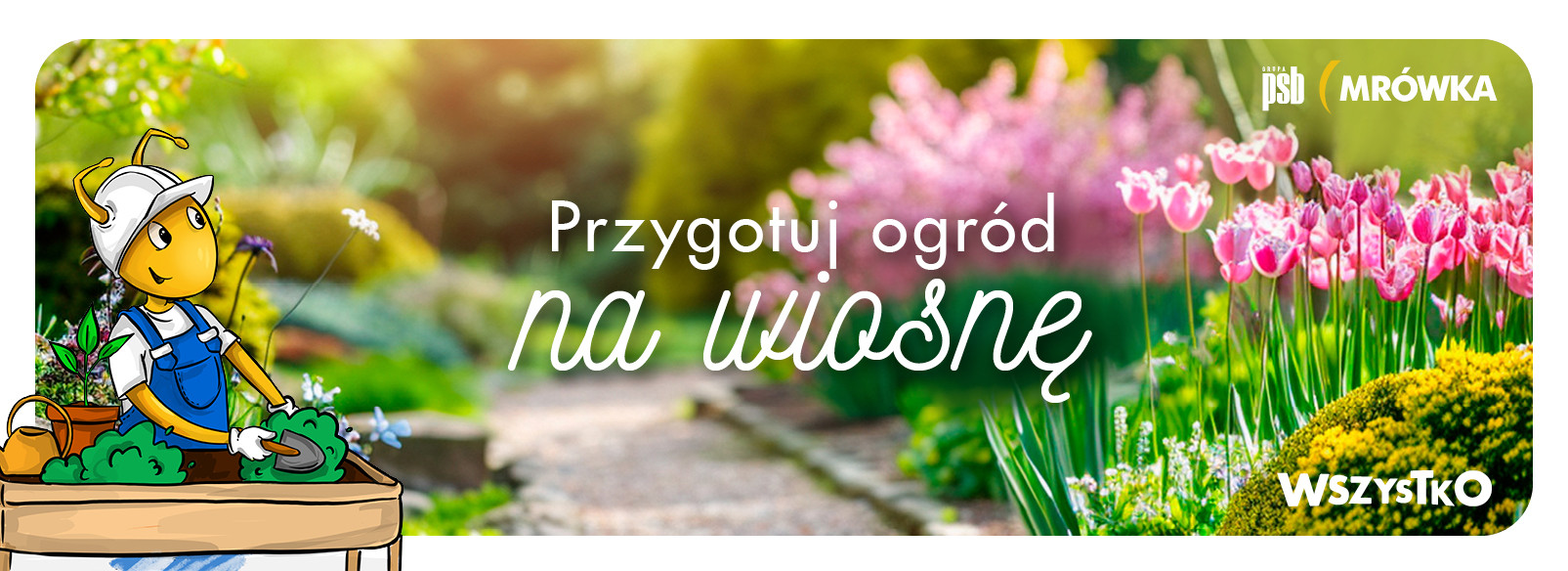 Grupa PSB mrowka Mrówka Olsztynek