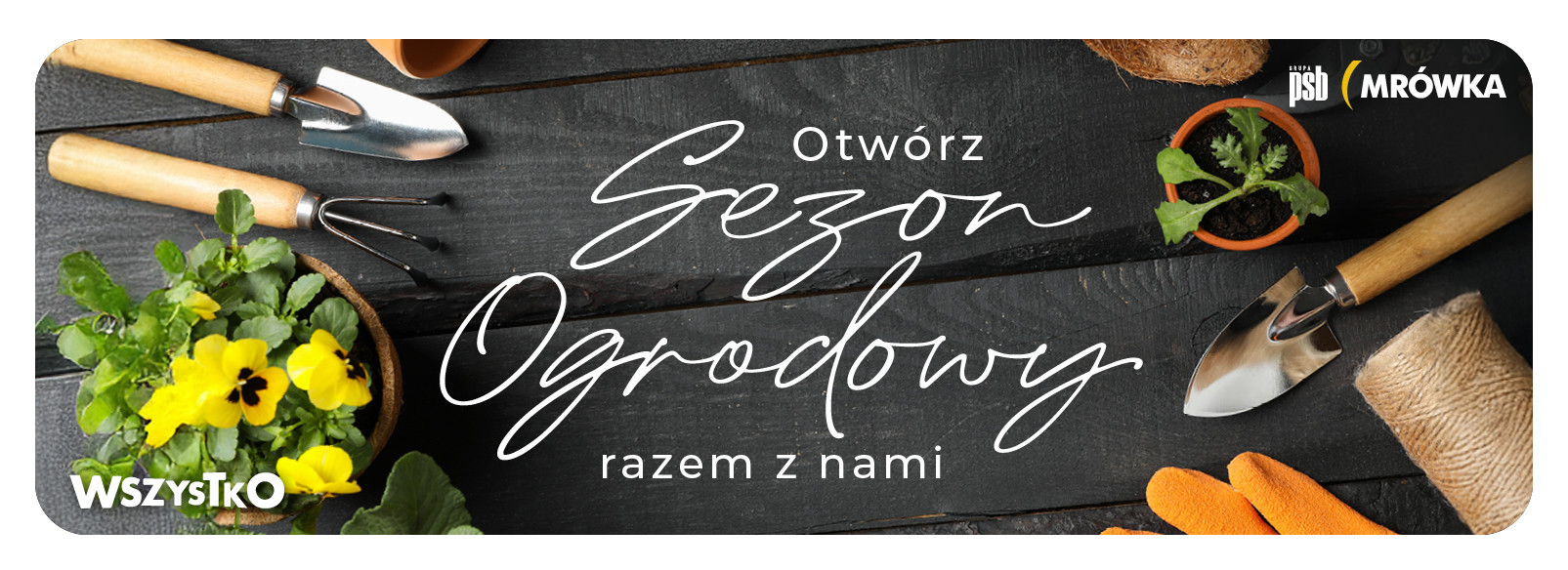 Grupa PSB mrowka Mrówka Olsztynek