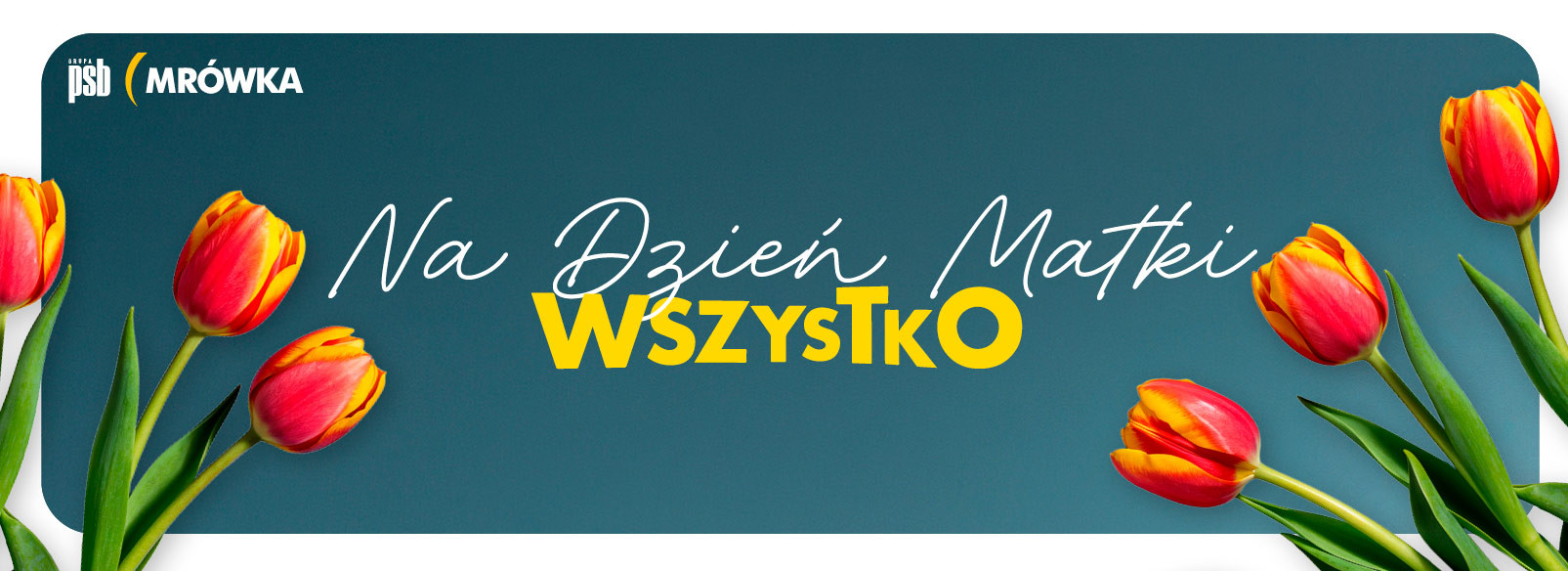 Grupa PSB mrowka Mrówka Olsztynek