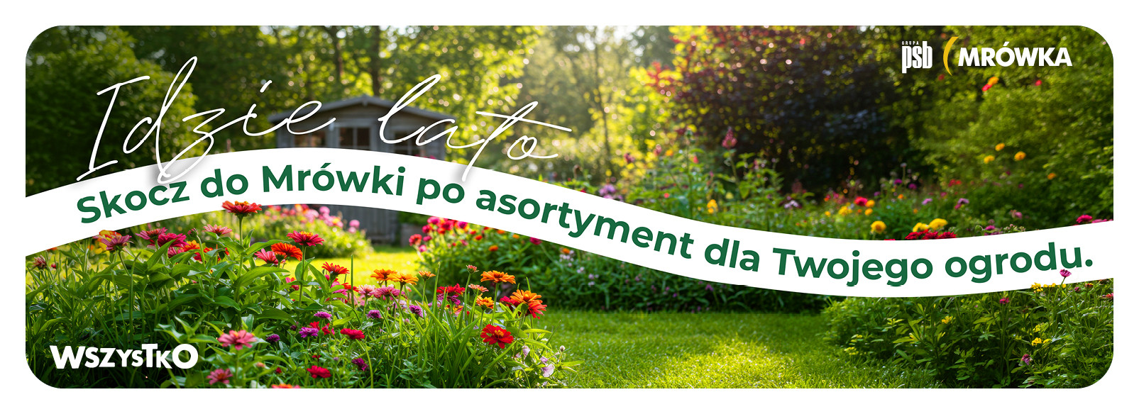 Grupa PSB mrowka Mrówka Olsztynek